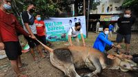 Penerapan Distribusi Daging Kurban Door to Door