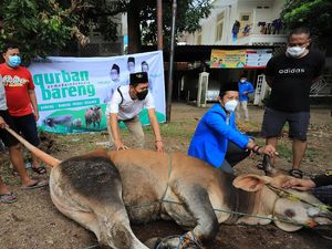 Penerapan Distribusi Daging Kurban Door to Door