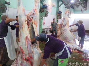 RPH Giwangan Yogya Over Kapasitas Selama 3 Hari RPH Giwangan Yogya Over Kapasitas Selama 3 Hari