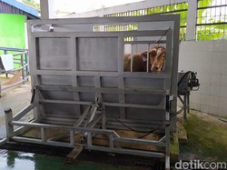 Kementan Kucurkan Rp 5,6 Miliar di Sinjai Bangun RPH Standar Internasional