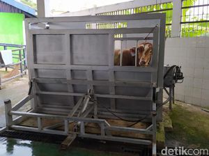 Kementan Kucurkan Rp 5,6 Miliar di Sinjai Bangun RPH Standar Internasional Kementan Kucurkan Rp 5,6 Miliar di Sinjai Bangun RPH Standar Internasional