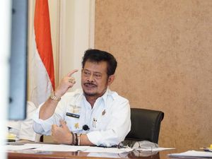 Mentan Ungkap Alasan Cuma Pupuk Urea dan NPK yang Disubsidi Mentan Ungkap Alasan Cuma Pupuk Urea dan NPK yang Disubsidi