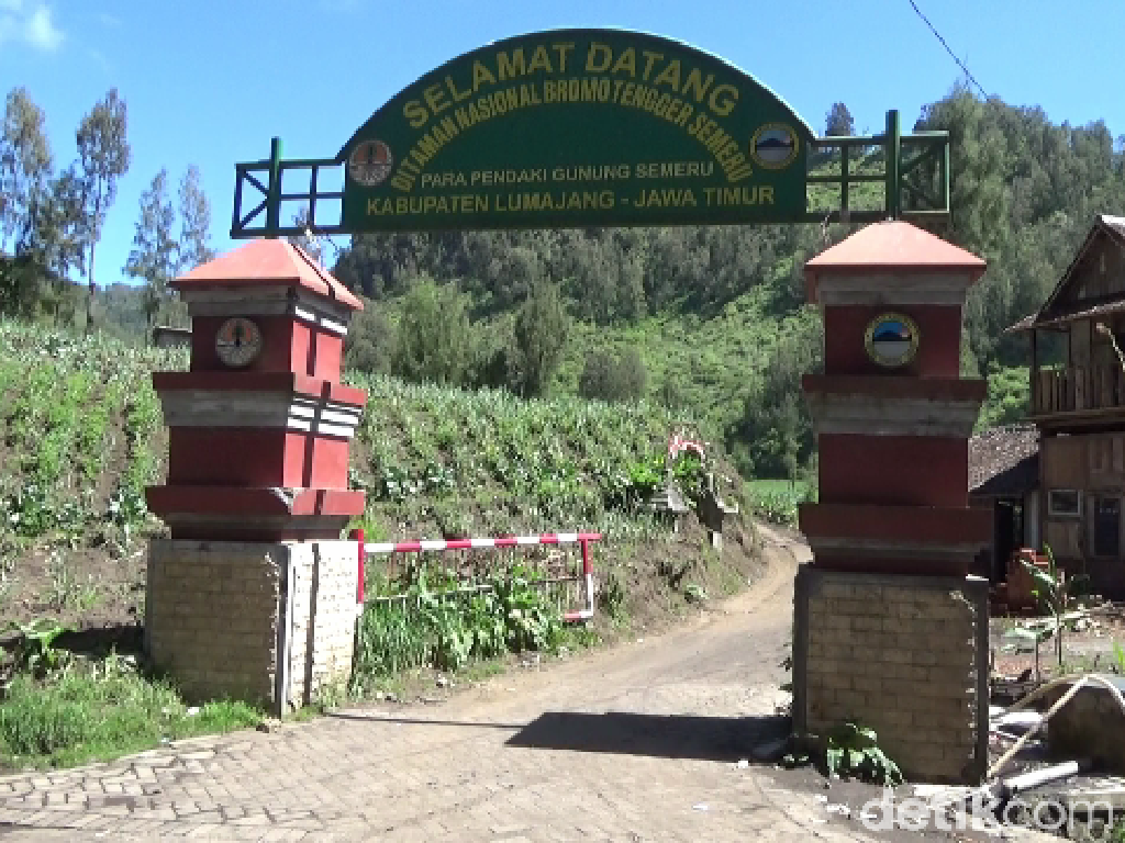 Penutupan Pendakian Gunung Semeru dan Wisata Bromo Diperpanjang Penutupan Pendakian Gunung Semeru dan Wisata Bromo Diperpanjang