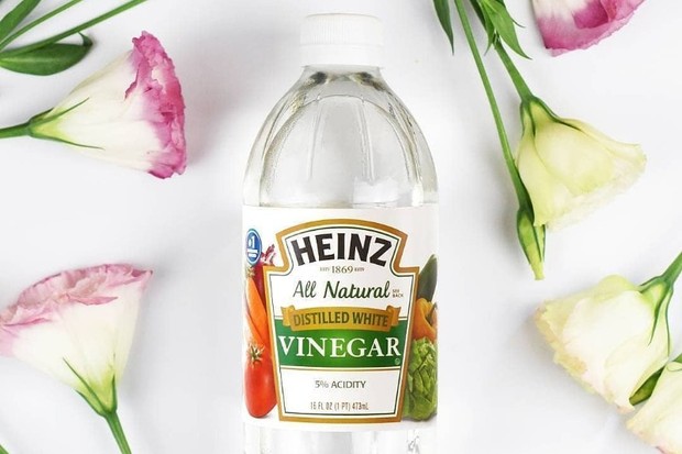 Cuka/ Foto: Instagram.com/pdlcayman Cuka putih dapat menghilangkan bau tak sedap di kulkas