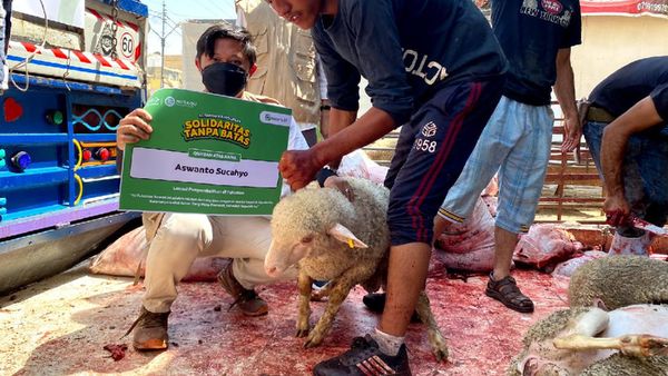 Kurban untuk Pengungsi Palestina