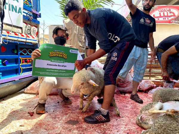 Kurban untuk Pengungsi Palestina