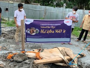 Hutama Karya Kurban 14 Sapi dan 45 Kambing untuk Warga Terdampak COVID-19