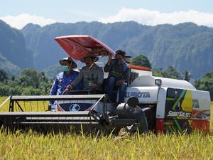 Stok Beras Aman, Mentan: Bahkan Over Stock di Beberapa Daerah