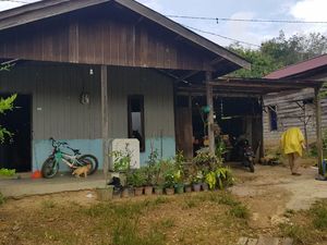 KPAI Minta Pemda Pastikan Hak Bocah Vino Usai Ortunya Meninggal COVID KPAI Minta Pemda Pastikan Hak Bocah Vino Usai Ortunya Meninggal COVID