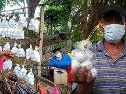 Sedih! Mantan Tentara Ini Cuma Makan Nasi Pakai Sambal demi Obati Istri