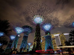 Vaksinasi 80 Persen Tapi Singapura Tak Bisa Kembali Normal Gegara Delta