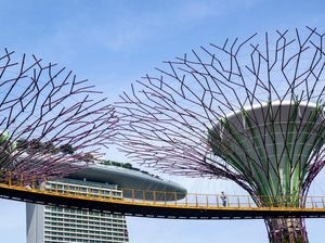 Naik Terus! Singapura Lagi-lagi Cetak Rekor Kasus Harian COVID-19