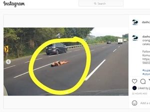 Pelaku Aksi Tiduran di Tengah Jalan Tol Japek Berhasil Ditangkap! Pelaku Aksi Tiduran di Tengah Jalan Tol Japek Berhasil Ditangkap!