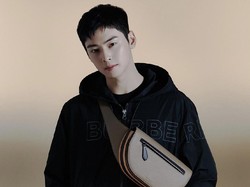 Cha Eun Woo Diincar Bintangi Drakor Sutradara Extreme Job
