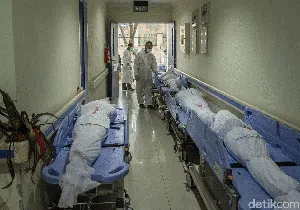 Corona Terus Melonjak, Indonesia Dituding Jadi Episentrum Dunia