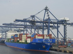 Nilai Ekspor Pertanian RI Meningkat 8,72% di Semester I 2021