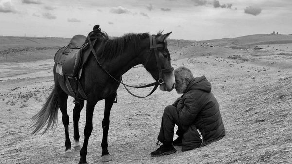 Deretan Foto Keren Jawara iPhone Photography Awards 2021