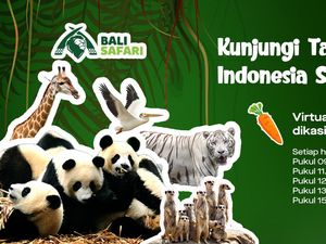 Live Streaming Taman Safari di GoPlay, Solusi Wisata saat PPKM