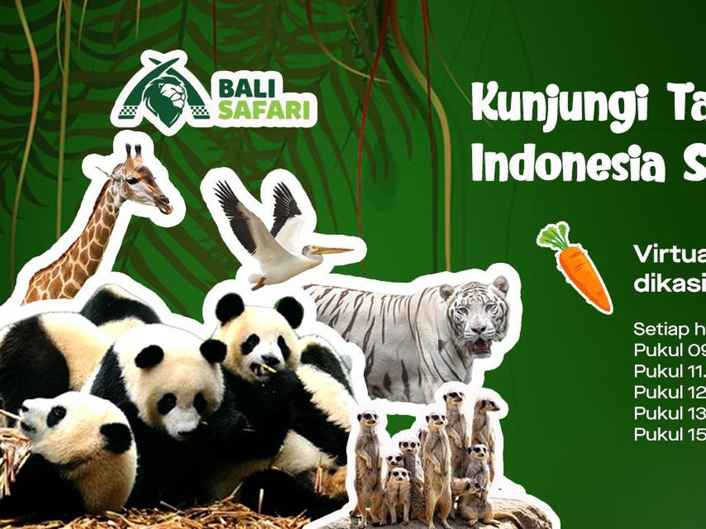 Live Streaming Taman Safari di GoPlay, Solusi Wisata saat PPKM Live Streaming Taman Safari di GoPlay, Solusi Wisata saat PPKM