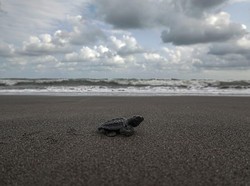 Ini 5 Tempat Wisata Asyik Buat Ngabuburit di Cilacap, Sudah Tau?