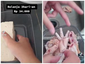 Modal Rp 34 Ribu, Netizen TikTok Bagikan Tips Masak untuk 4 Hari!