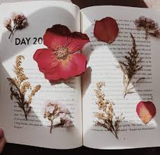 (Ilustrasi benda favorit berwarna merah / foto: pinterest.com)