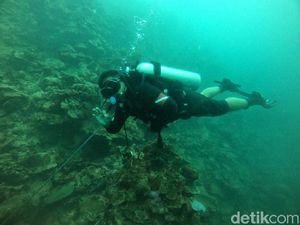 Ini Pulau Bulu Poloe, Keindahan Terumbu Karangnya Jadi Daya Tarik Wisatawan