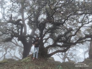2 Pendaki Hilang di NTT, Mereka Selamat tapi Evakuasi Terhalang Kabut 2 Pendaki Hilang di NTT, Mereka Selamat tapi Evakuasi Terhalang Kabut