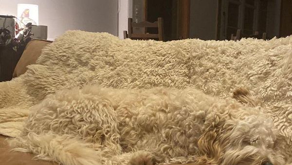 Kumpulan Foto Objek Sekitar yang Menjebak Mata