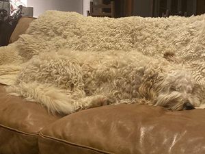 Kumpulan Foto Objek Sekitar yang Menjebak Mata