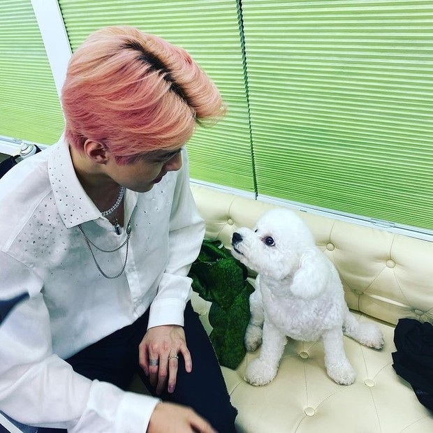 Vivi dan Sehun/Official Instagram @Oohsehun Vivi dan Sehun