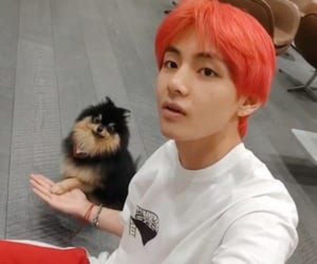 Yeontan dan V