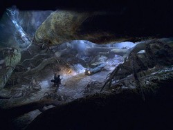 Potterhead! Hutan Terlarang Harry Potter Kembali Lagi