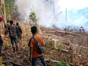 Taman Nasional dan Hutan Lindung di Riau Terbakar, 3 Orang Diamankan