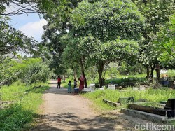 Alasan Guntur Tinggal di Makam-Gua Bareng Anak Meski Berulang Kali Dievakuasi
