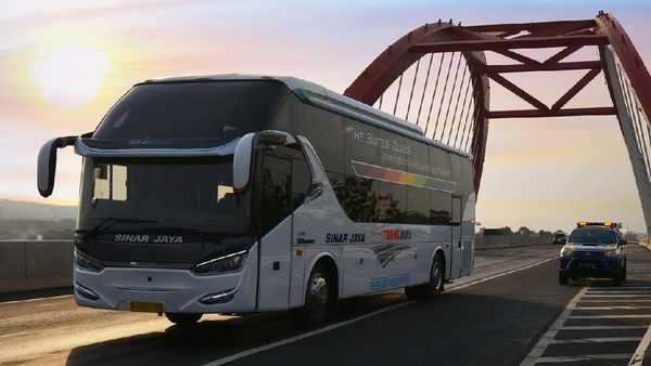 Potret PO Sinar Jaya yang Berjuluk Bus Sejuta Umat