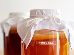 Fakta Scoby, Jamur dalam Pembuatan Kombucha yang Tren di TikTok