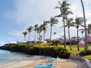 Lewat Triathlon Bermuda Jadi Negara Terkecil Peraih Emas Olimpiade Lewat Triathlon Bermuda Jadi Negara Terkecil Peraih Emas Olimpiade