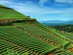 5 Destinasi Wisata Alam Pilihan buat Dikunjungi Setelah PPKM