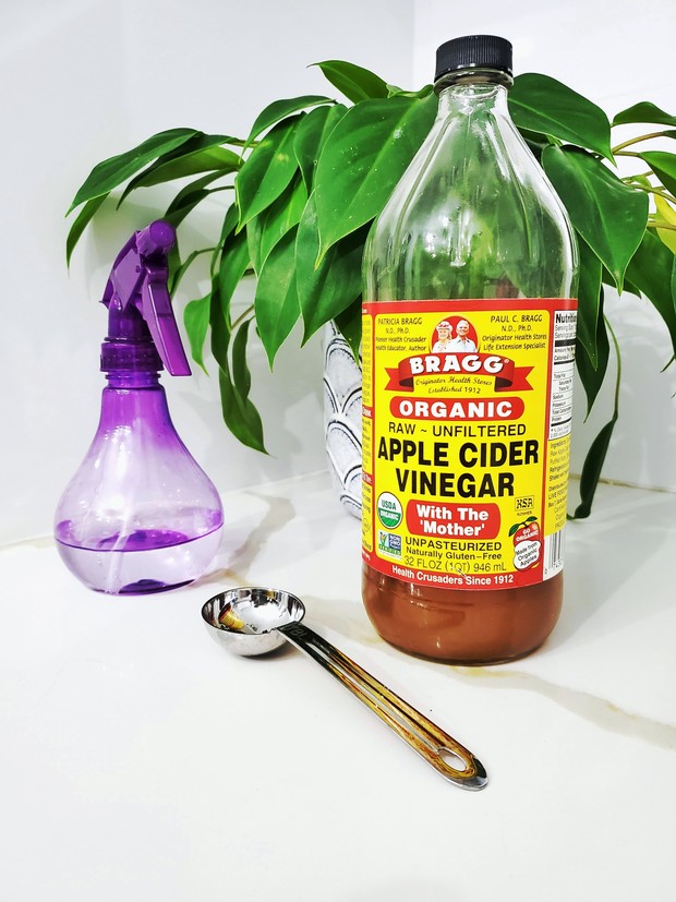 Foto: pexels.com/rosanasolis Apple cider vinegar/