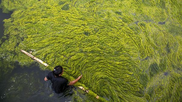 Kolam Tertua di Nepal Dibersihkan