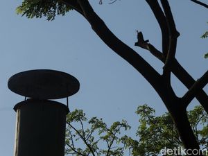 Jenazah ABG Tangerang yang Tembak Kepala Sendiri Telah Dikremasi Jenazah ABG Tangerang yang Tembak Kepala Sendiri Telah Dikremasi