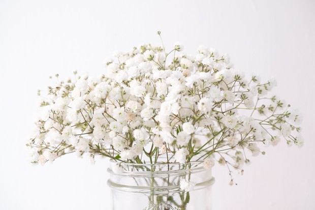 Makna bunga baby's breath/foto: unsplash.com/fsmurrayphotography Makna bunga