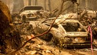 Puluhan Mobil Ludes Gegara Kebakaran Hutan