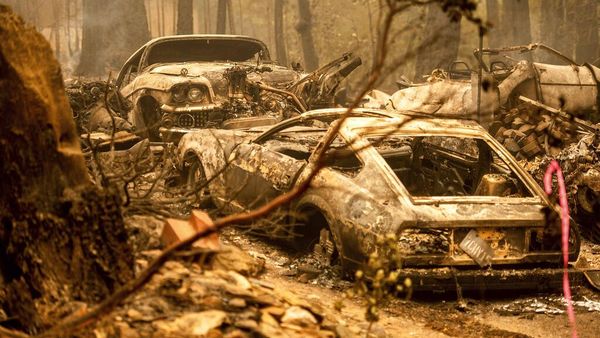 Puluhan Mobil Ludes Gegara Kebakaran Hutan