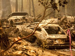 Italia Selidiki Penyebab Kebakaran Hutan di Pulau Sardinia Italia Selidiki Penyebab Kebakaran Hutan di Pulau Sardinia