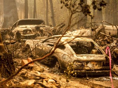 Puluhan Mobil Ludes Gegara Kebakaran Hutan