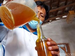 Semringah Peternak Lebah saat Madu Laris Manis di Masa Pandemi Semringah Peternak Lebah saat Madu Laris Manis di Masa Pandemi