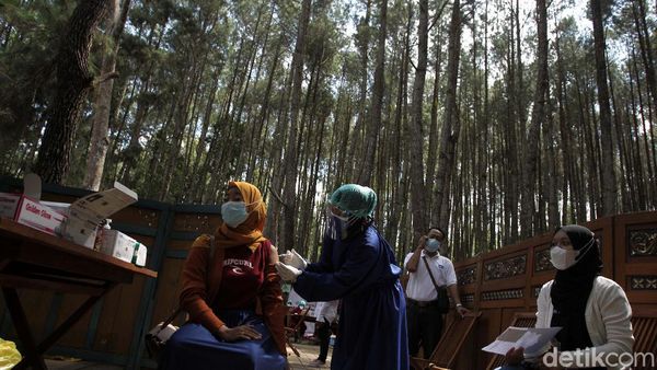 Bikin Sejuk, Suntik Vaksin di Hutan Pinus Bantul