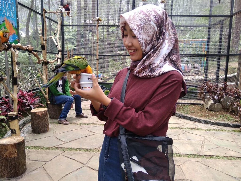 Kesulitan Uang, Pemilik Objek Wisata di Lembang Jual Burung Kesulitan Uang, Pemilik Objek Wisata di Lembang Jual Burung